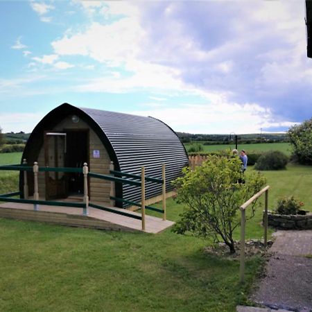 Shanagarry / Ballycotton Glamping Pod كورك المظهر الخارجي الصورة